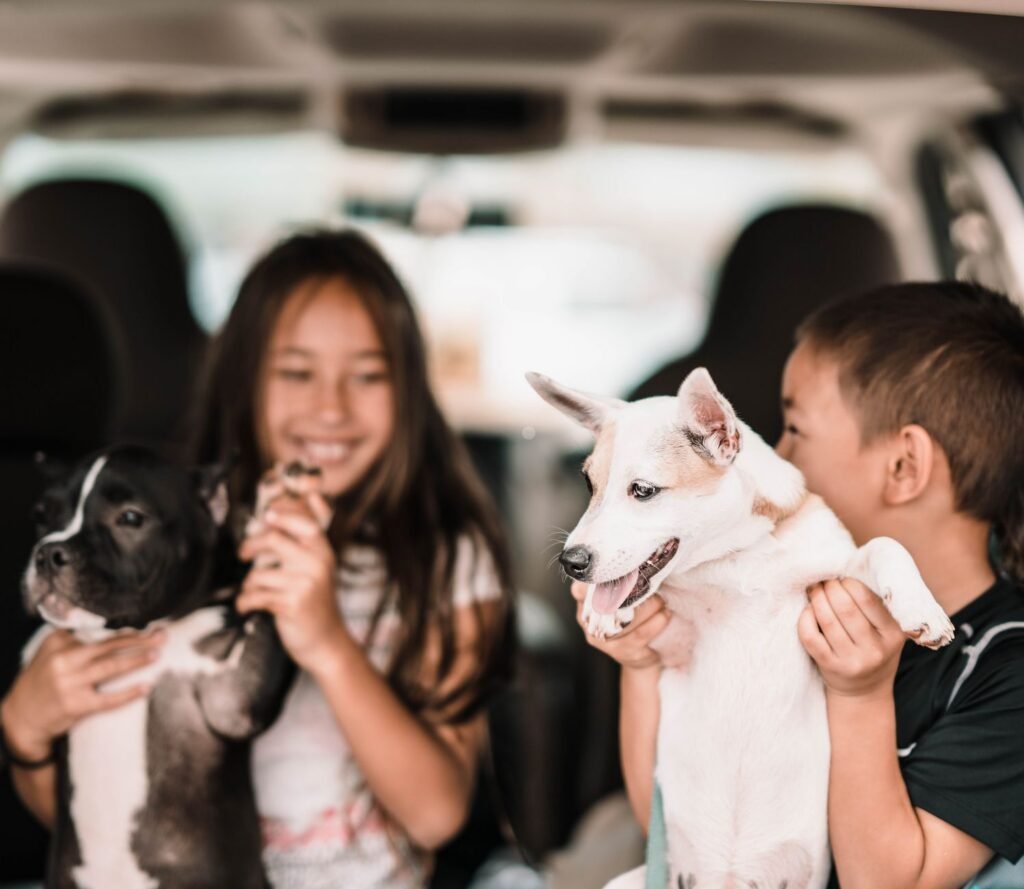 Two children joyfully play with dogs in a car, capturing a lively and affectionate moment.